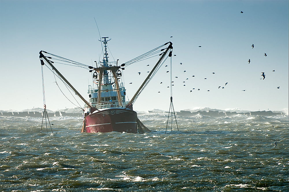 Atividade de Pesca 2