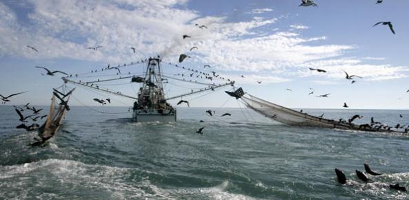 Atividade de Pesca 3