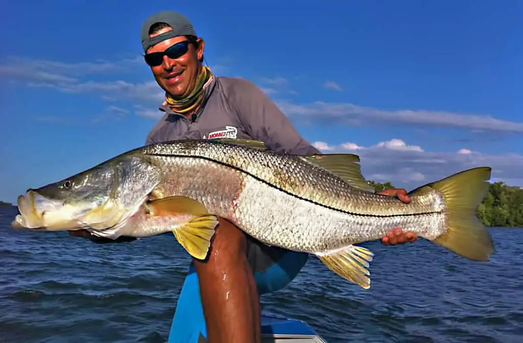 Robalo
